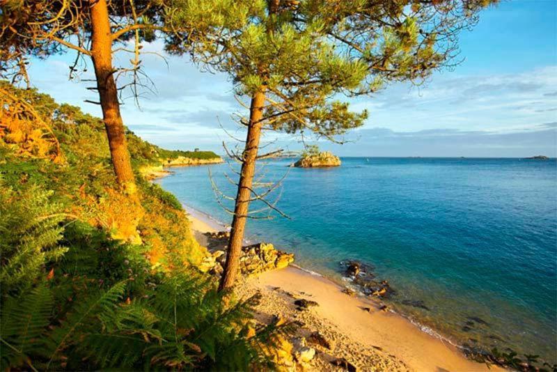Gite De Charme Entre Terre Et Mer Villa Plougonven Exteriör bild